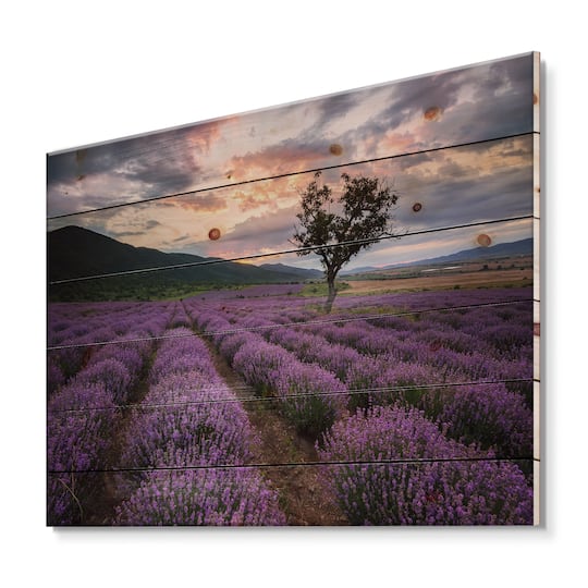 Designart - Lavender Field At Dawn III
